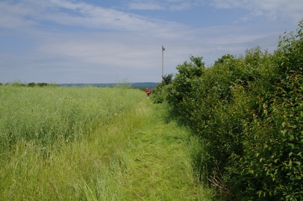 Cleared Path
